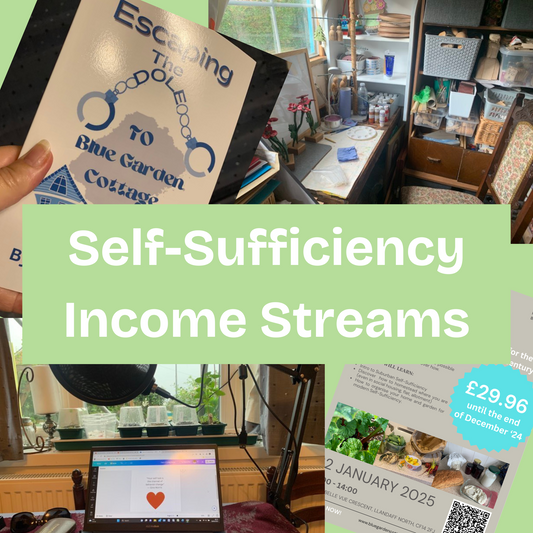 Image showing different types of income streams, a book relating to self-sufficiency journey, craft room representing homemade crafts, laptop and podcast setup for content creation and a flyer representing workshop hosting.